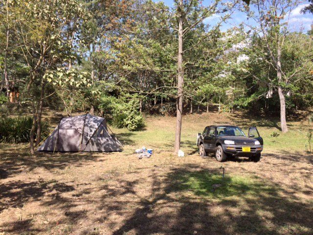 Tents pitched on the shaded campground