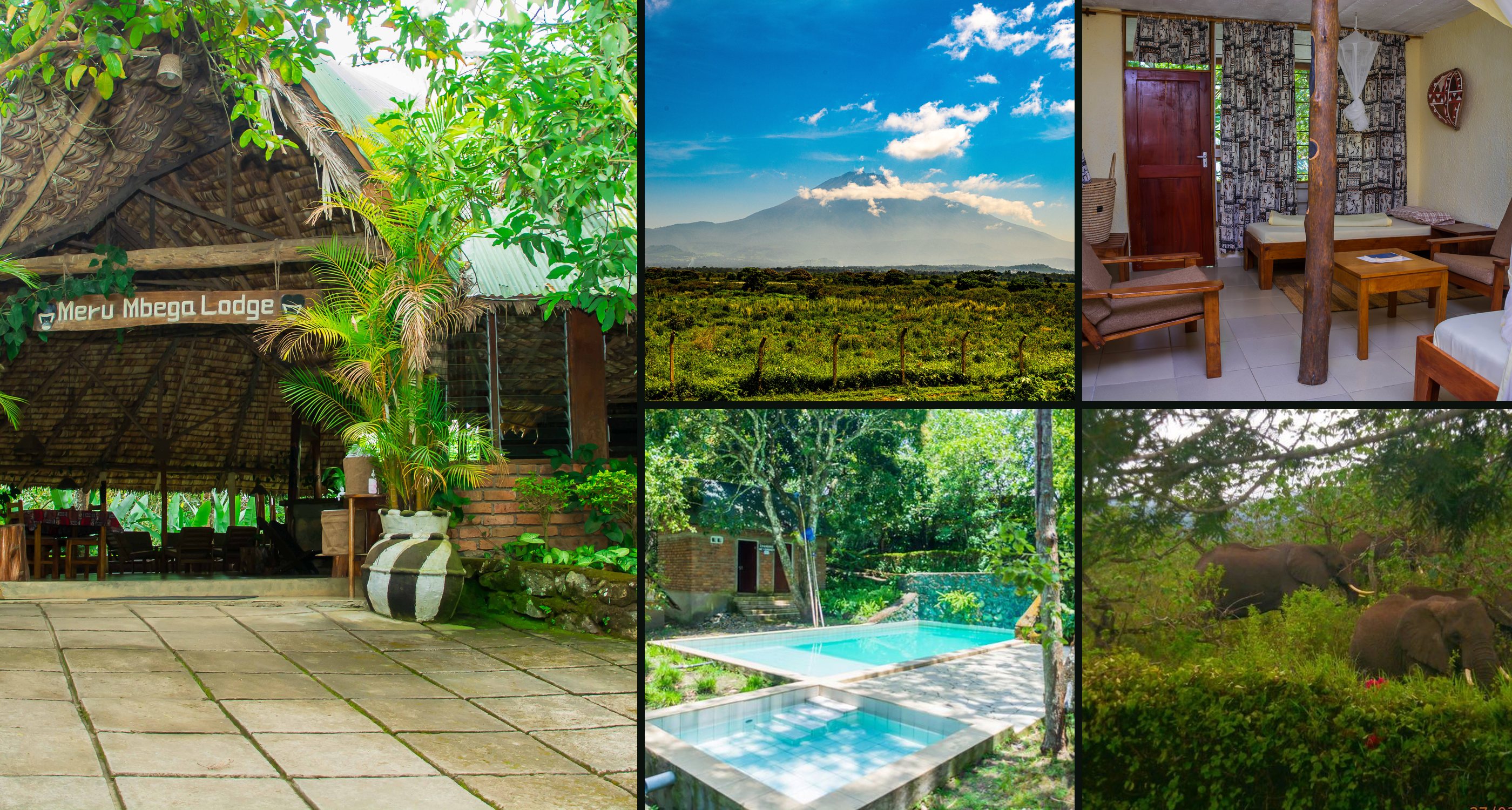 A set of photographs from the lodge: the thatched main building, Mount Meru, a guest room, the swimming pool and elephants in the bush