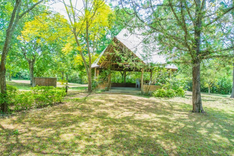 A guest cottage among the garden trees