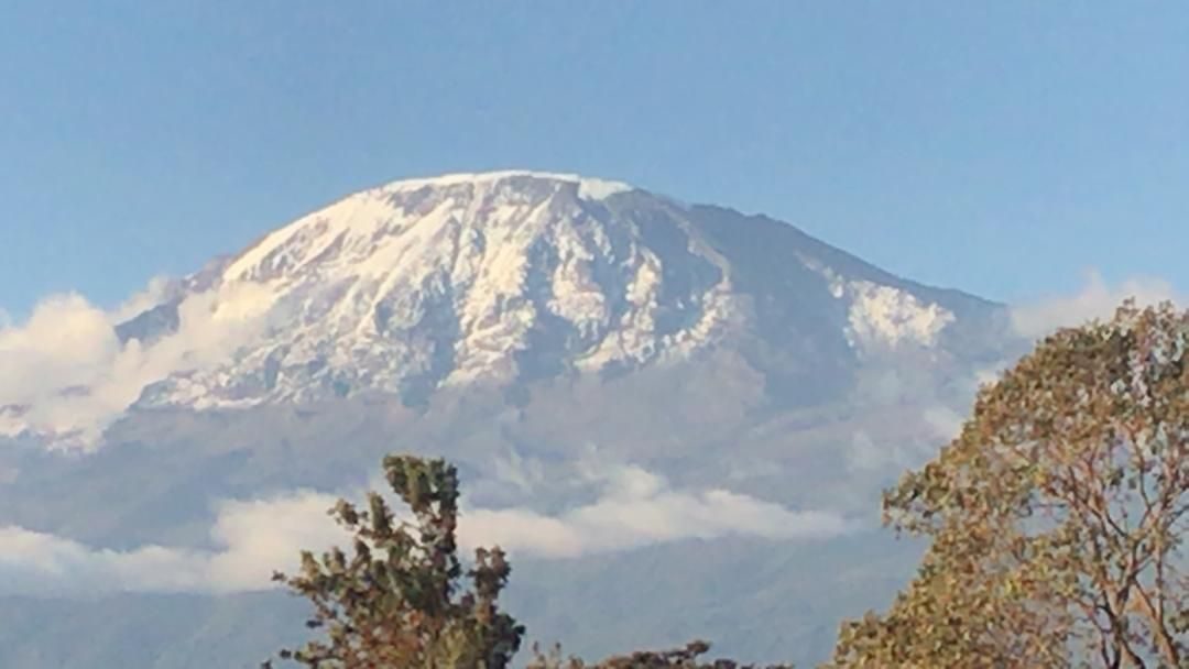 The snow-capped summit of Kilimanjaro above the clouds