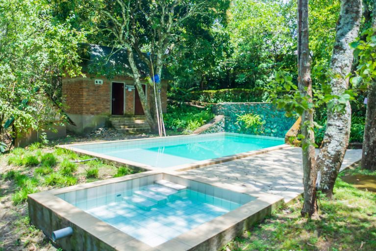The swimming pool surrounded by garden