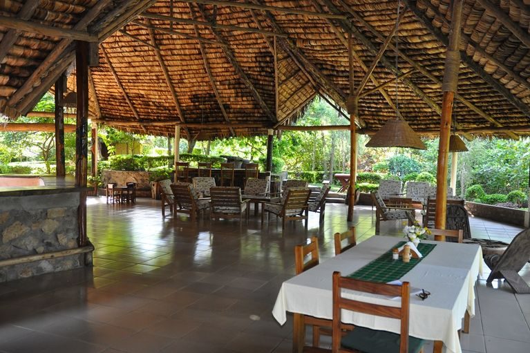 Laid tables in the restaurant, open to the garden